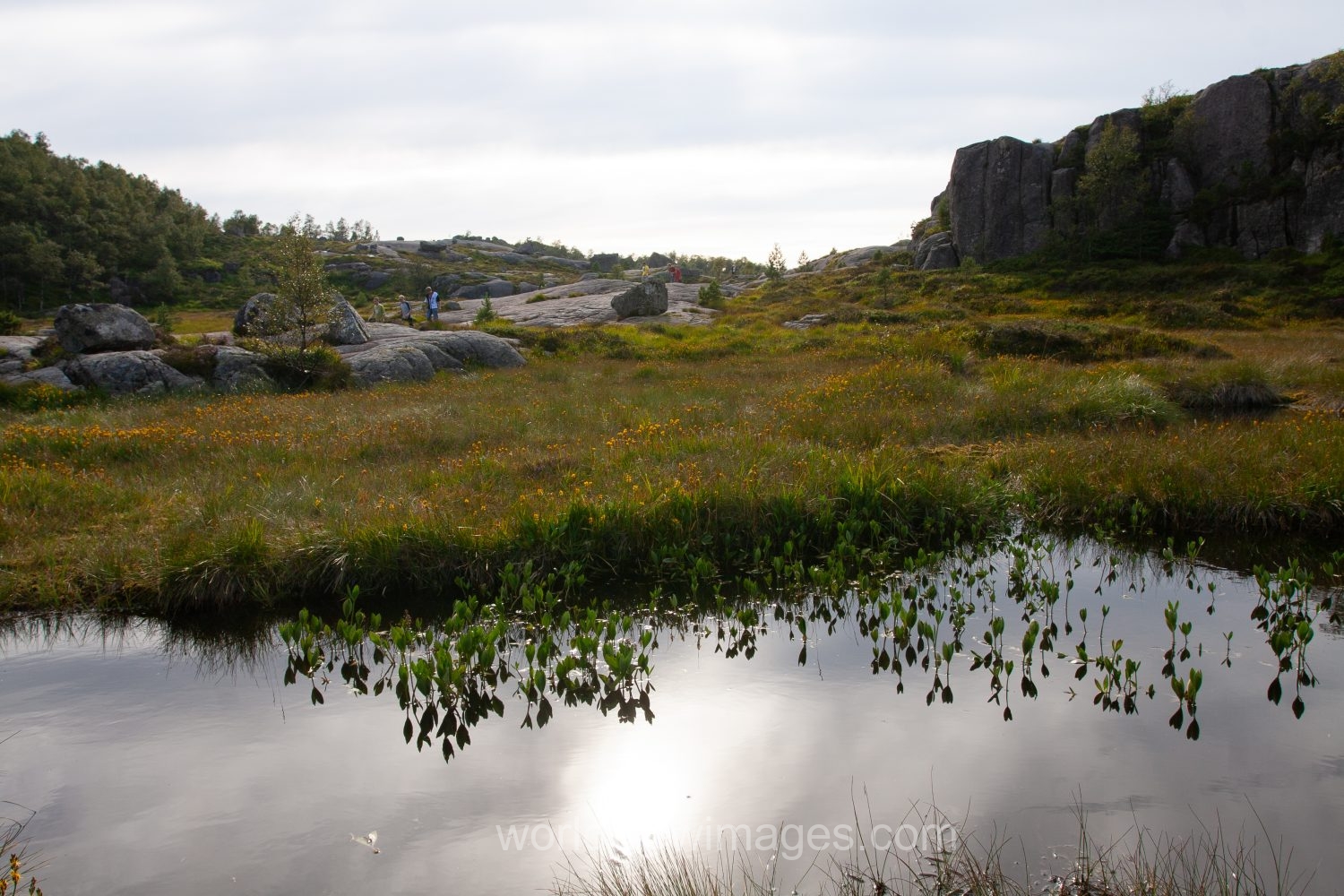 Scenic mountain Lake on the hike to Pulpit Rock in Norway