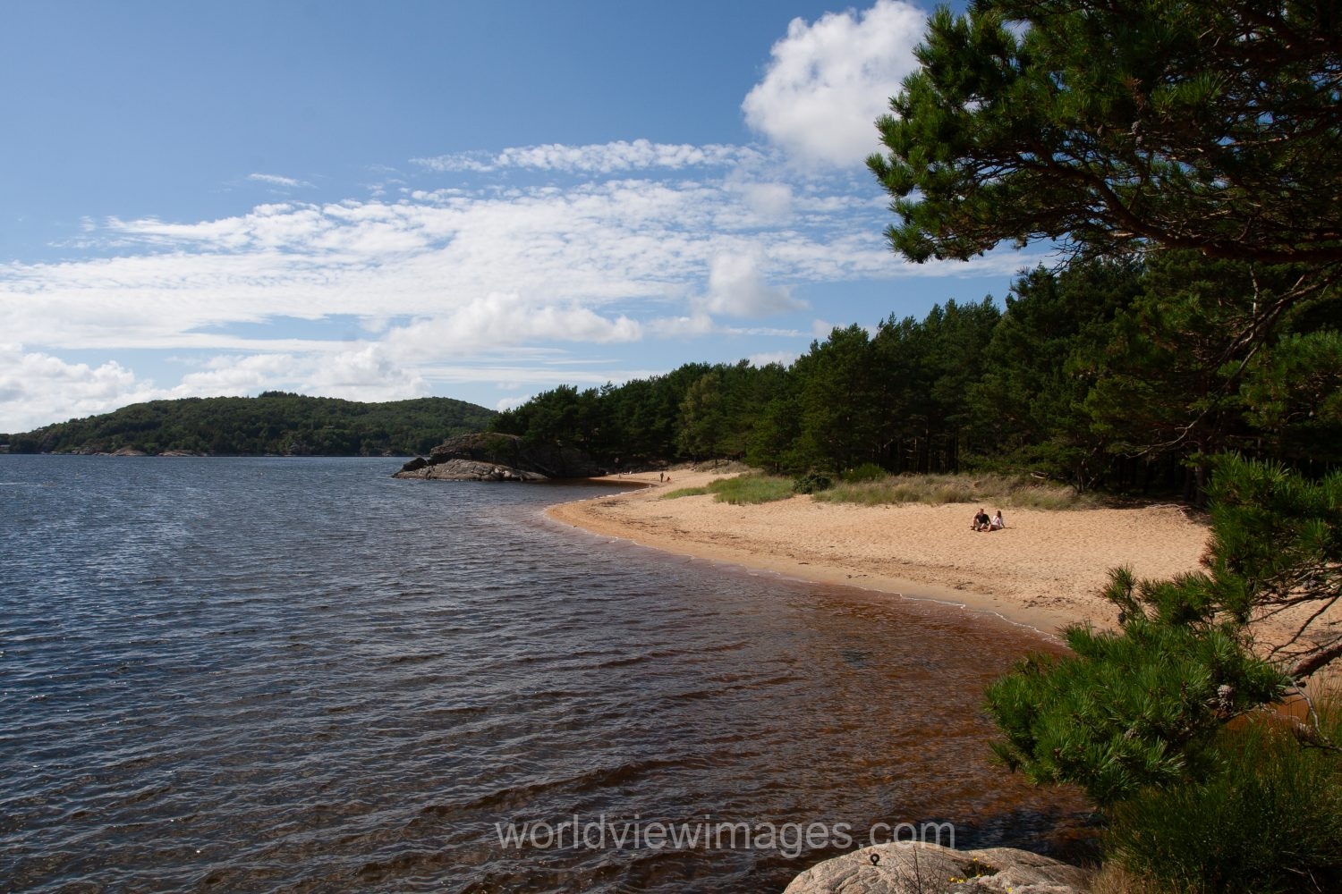Rugged Beach in Norway