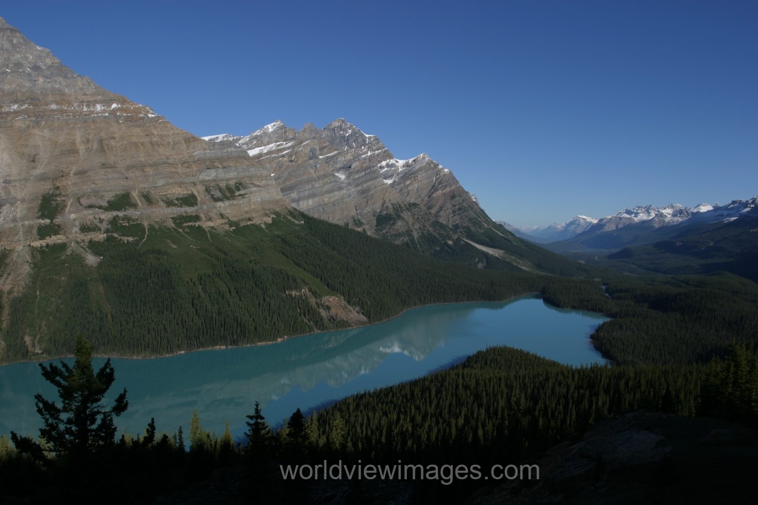 Stock Images of Lakes: Peyto lake in Banff National Park in Alberta Canada