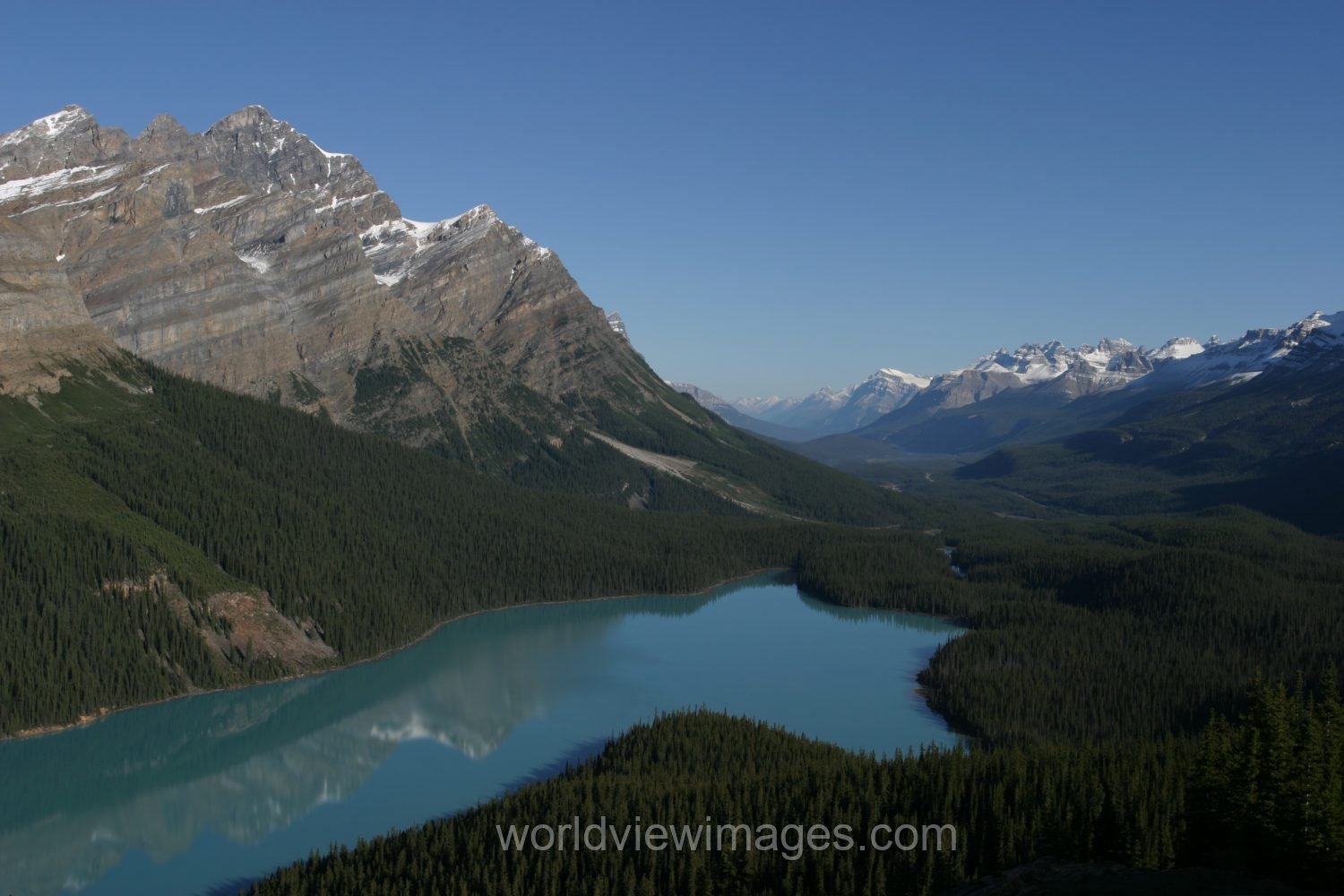 Stock Images of Lakes: Peyto lake in Banff National Park in Alberta Canada