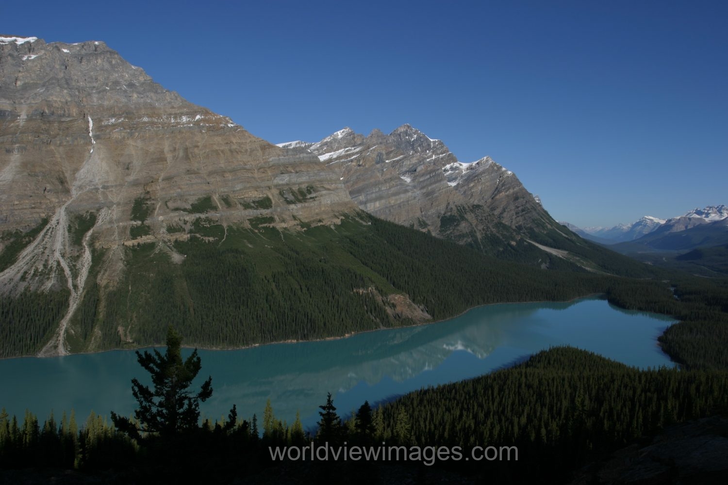 Stock Images of Lakes: Peyto lake in Banff National Park in Alberta Canada
