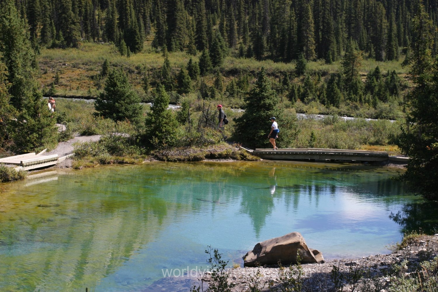 Stock Images of Lakes: Mountain Springs create colorful pond high up in the mountains in Banff National Park, in Alberta Canada