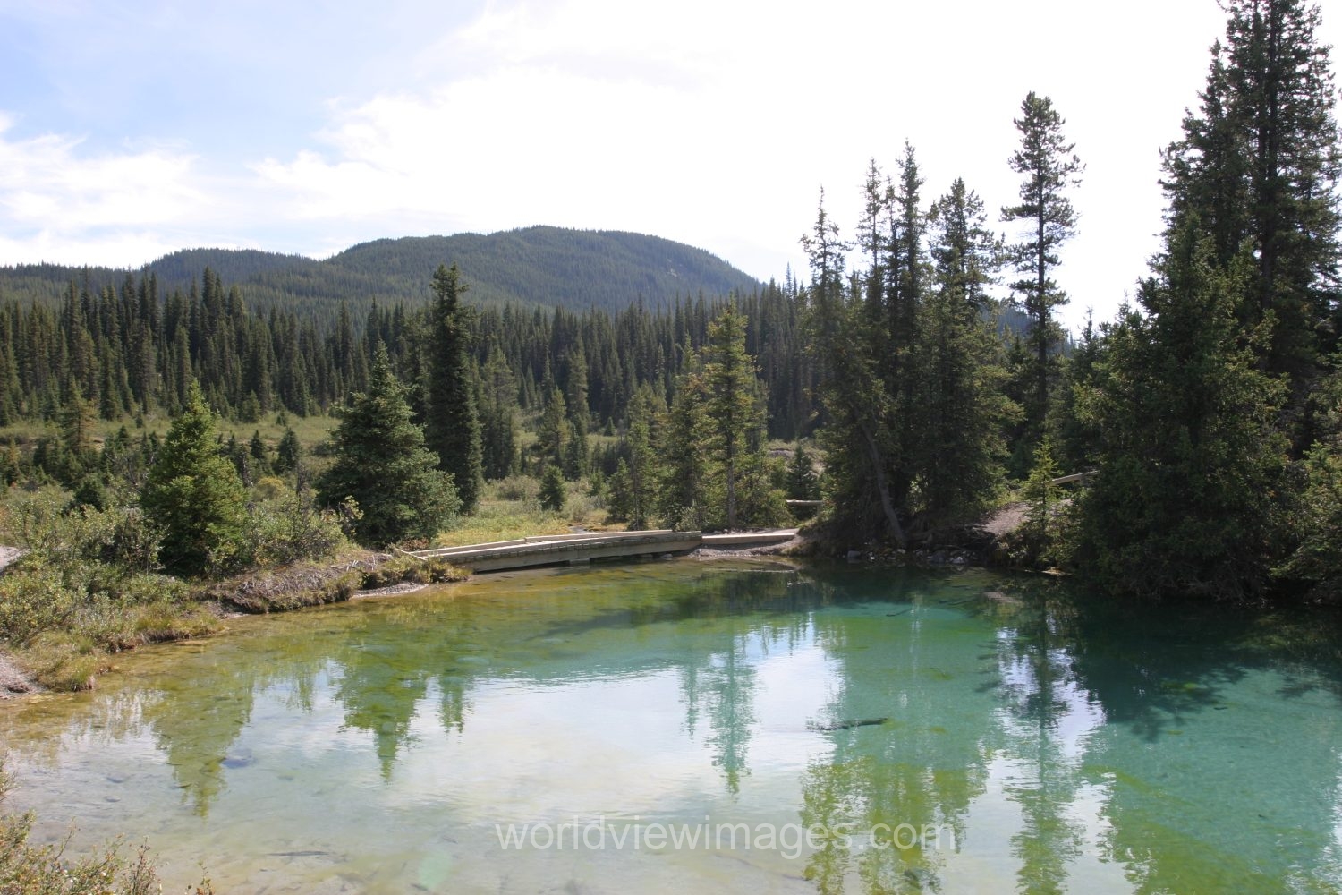 Stock Images of Lakes: Mountain Springs create colorful pond high up in the mountains in Banff National Park, in Alberta Canada