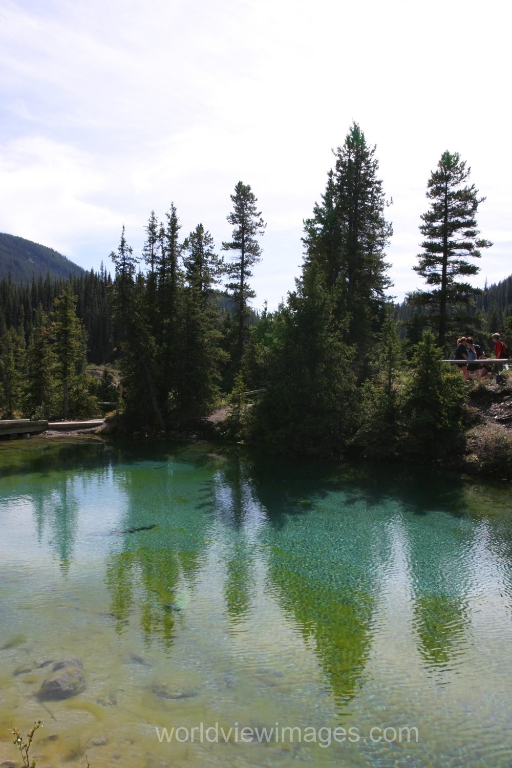 Stock Images of Lakes: Mountain Springs create colorful pond high up in the mountains in Banff National Park, in Alberta Canada