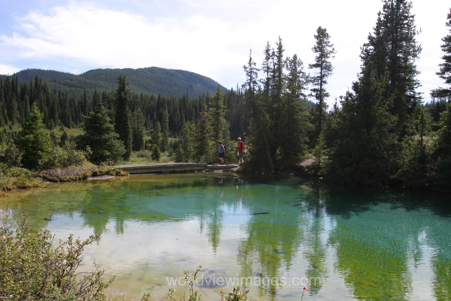 Stock Images of Lakes: Mountain Springs create colorful pond high up in the mountains in Banff National Park, in Alberta Canada