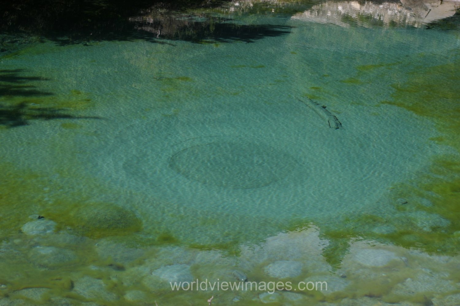Ink Pots Water Spring, high up the trail at Johnston Canyon, in Banff National Park