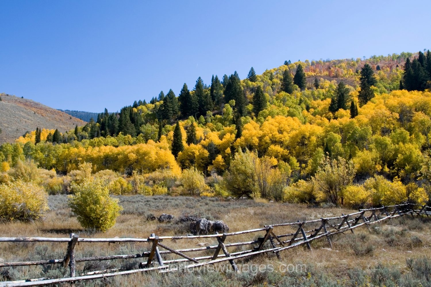 Fall Scenes of Beautiful Utah, USA