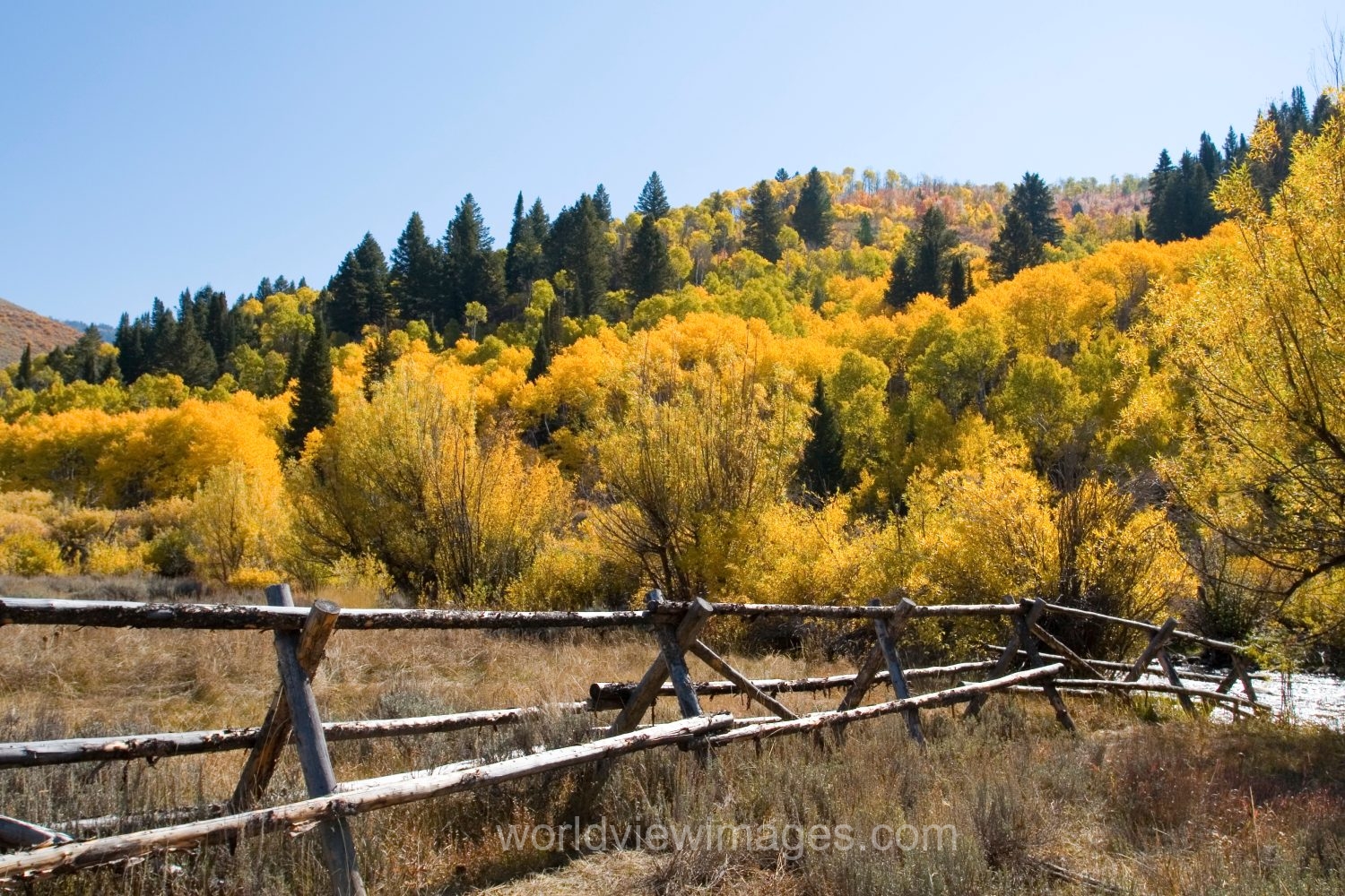 Fall Scenes of Beautiful Utah, USA