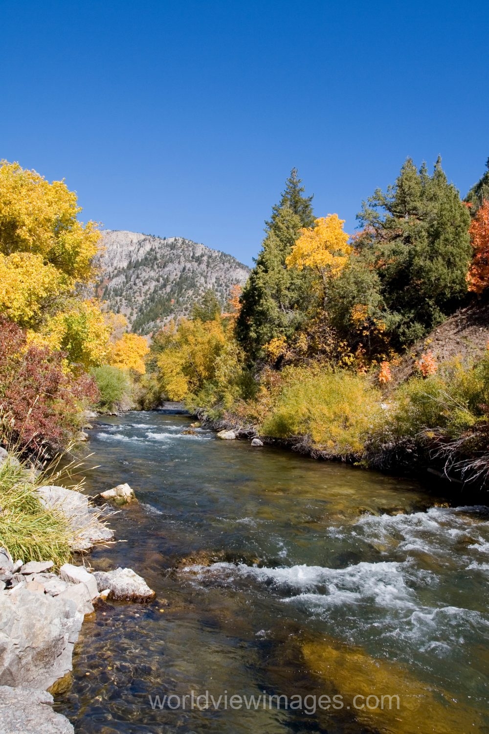 Fall Scenes of Beautiful Utah, USA