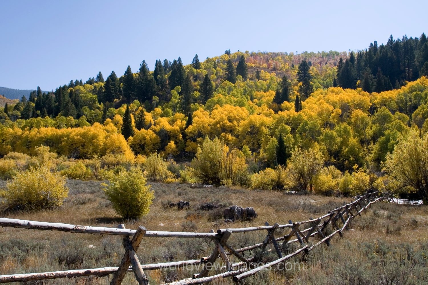Fall Scenes of Beautiful Utah, USA