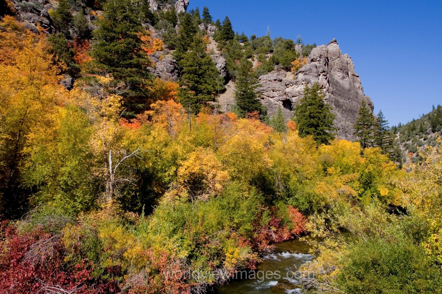 Fall Scenes of Beautiful Utah, USA