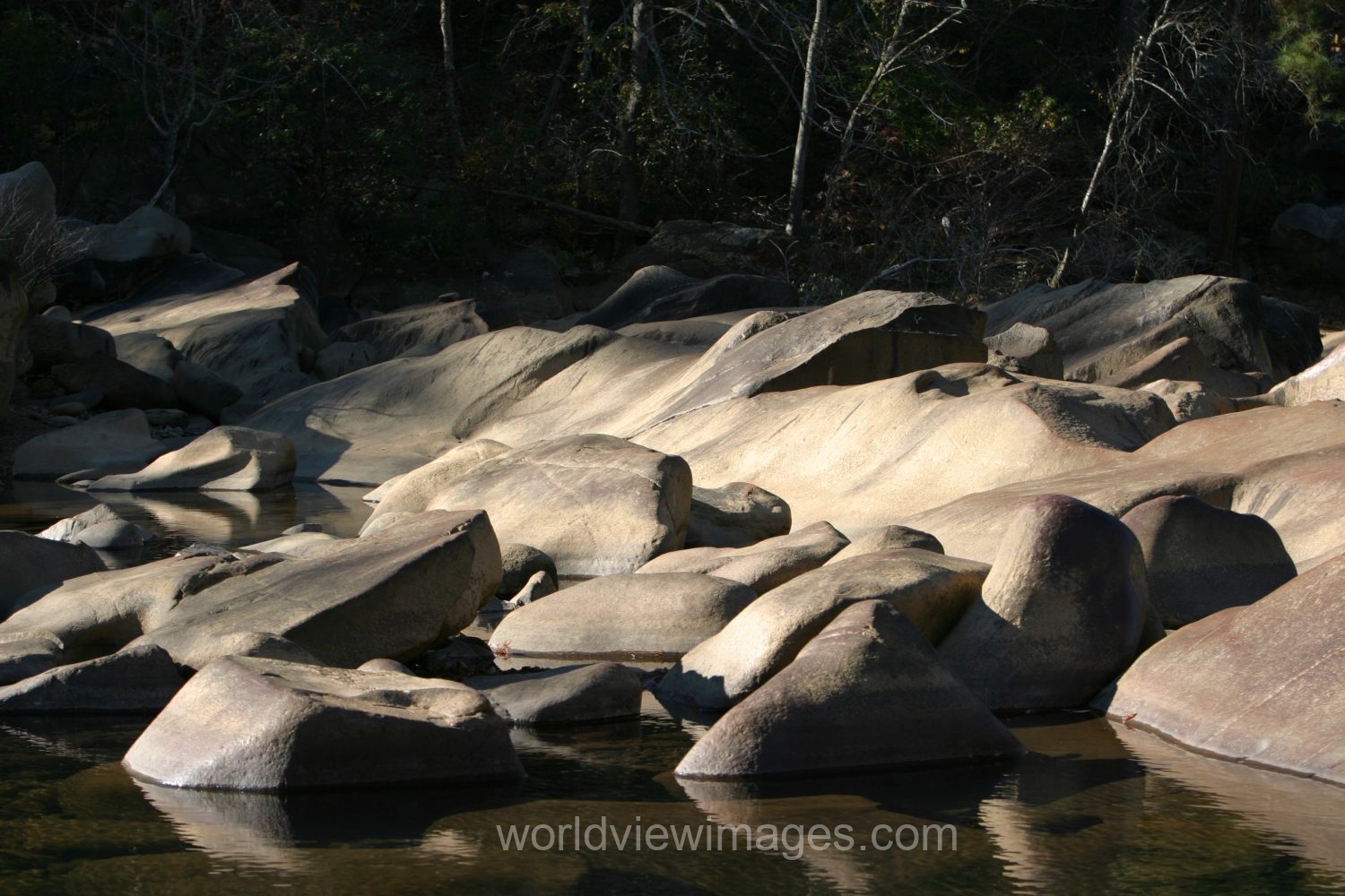 River Scene