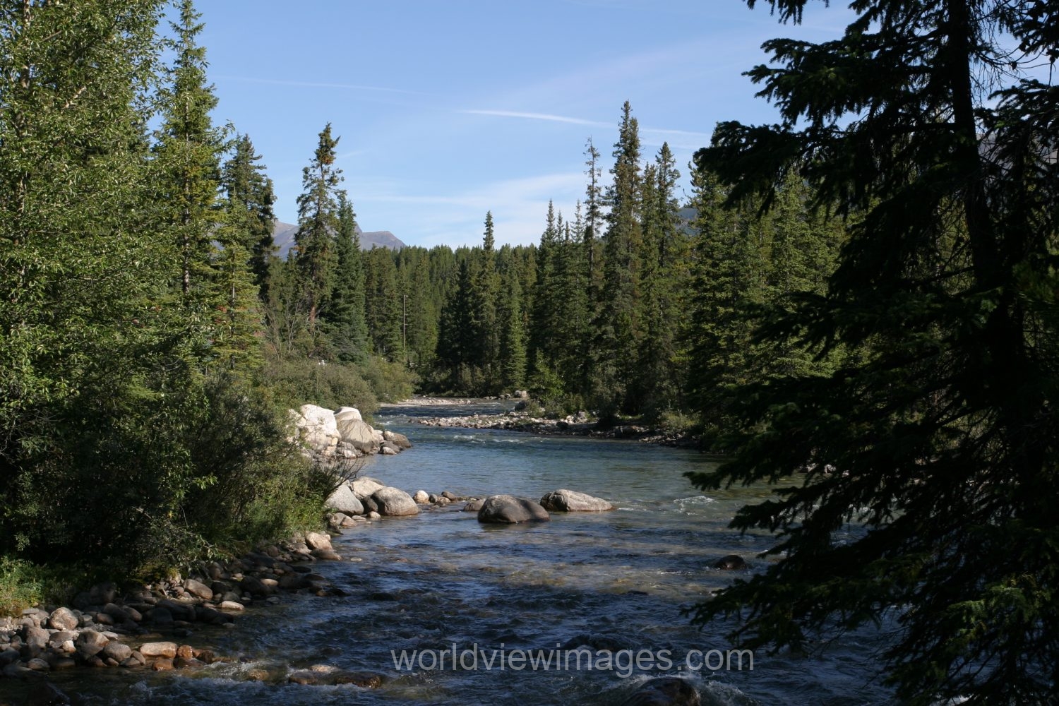 River Scene