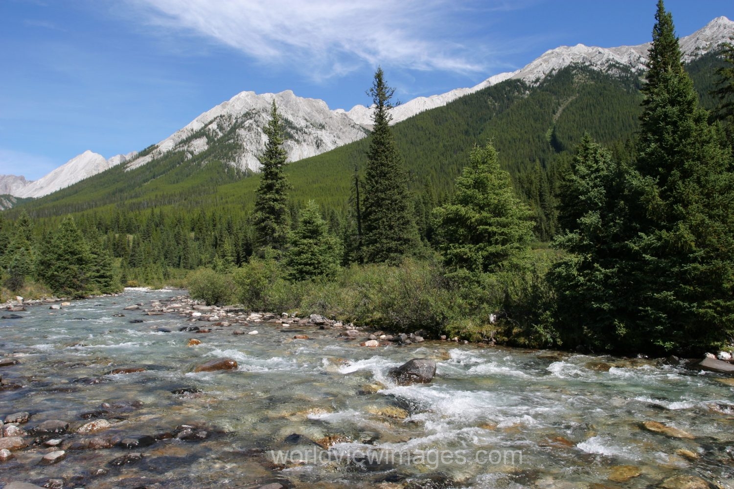 River Scene