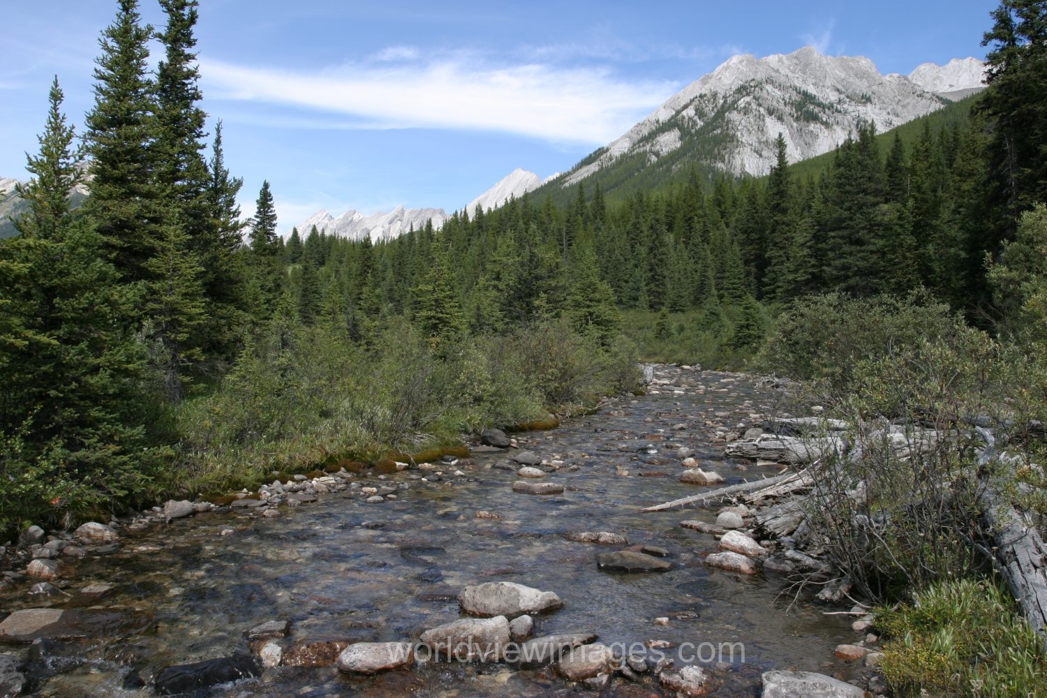 River Scene