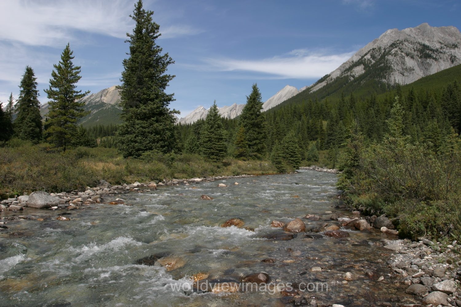 River Scene