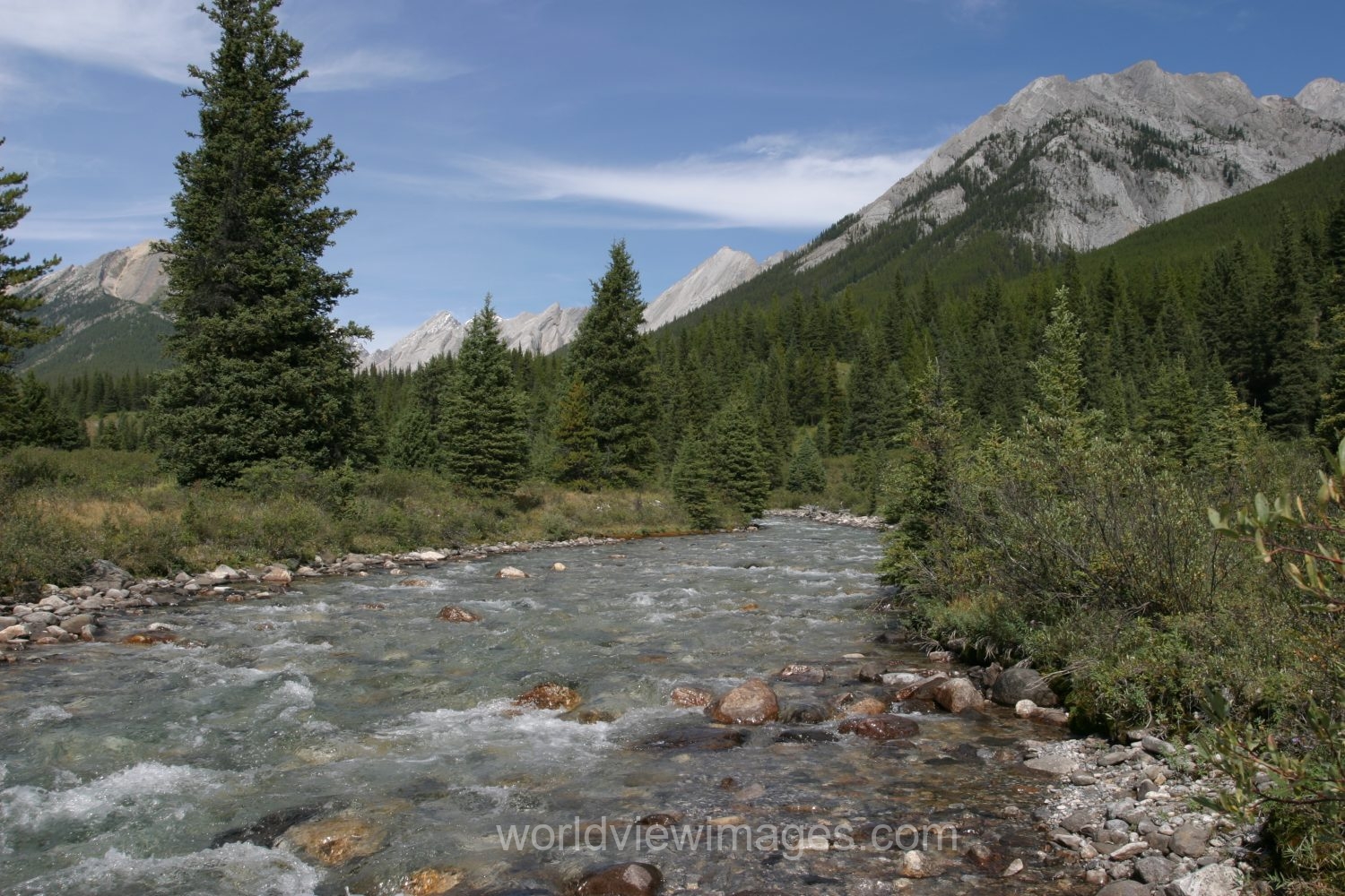River Scene