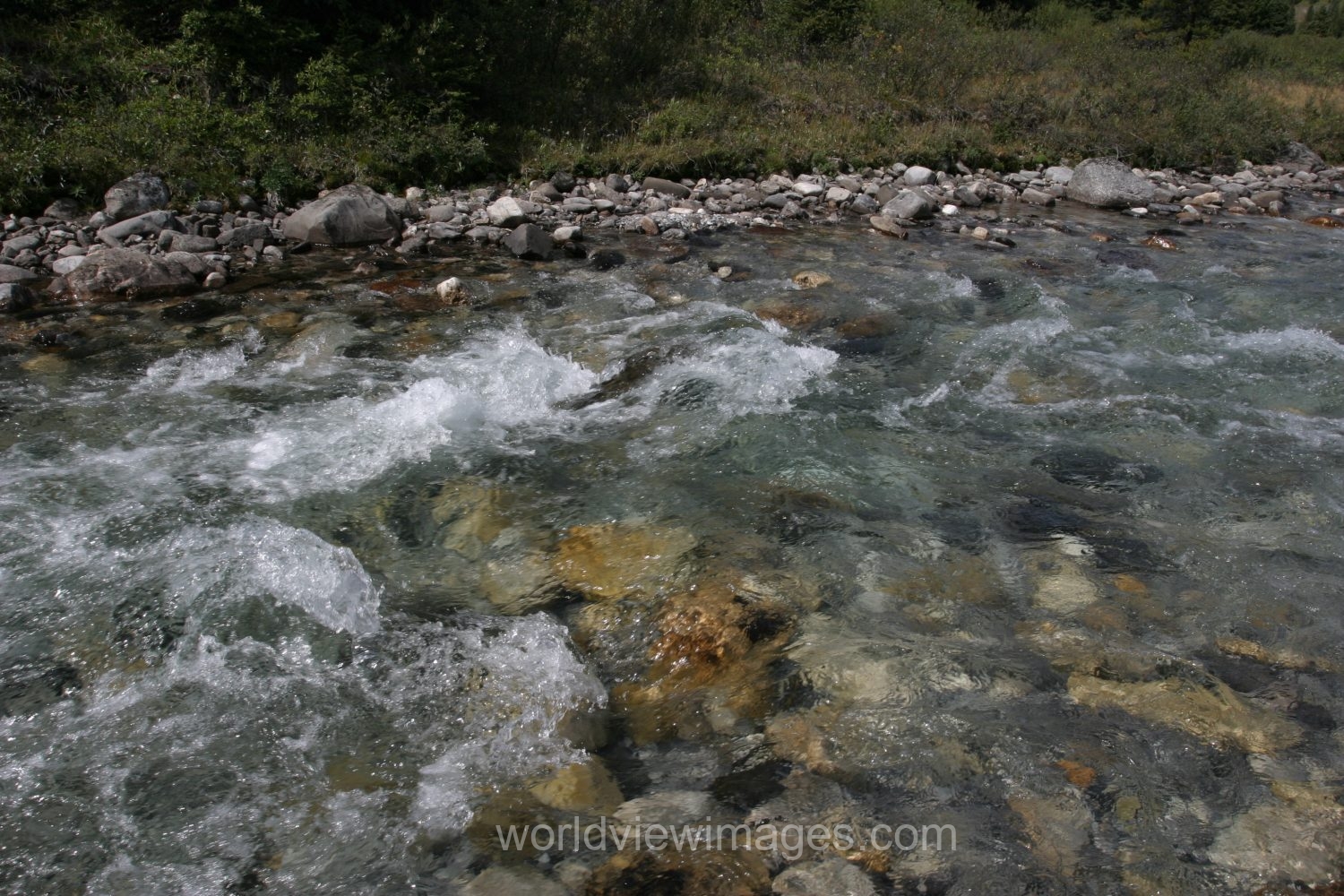 River Scene